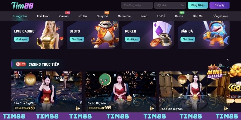 Đánh giá về chúng tôi TIM88