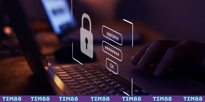 Quyền hạn của TIM88 trong chính sách