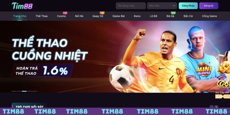 Thông tin chính thức về TIM88