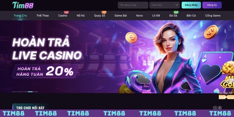 Tổng quan về chúng tôi TIM88